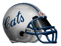 Lovington Wildcats